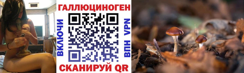 Галлюциногенные грибы мухоморы Новая Ладога