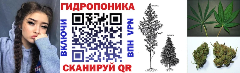 Каннабис Ganja  Новая Ладога 